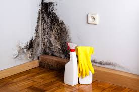 Best Emergency Mold Remediation  in Kitty Hawk, NC